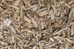 biomass boilers Rillaton